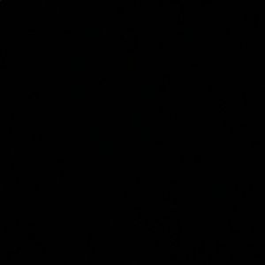 Meet your Posher, Gabriella